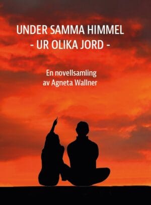 Novellsamling av Agneta Wallner som visar siluetter mot en frägstark himmel